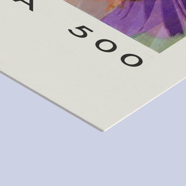 St Edward’s School Art Teachers: Circa 500